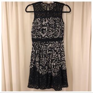 Ann Taylor Black & Gray Floral Lace Dress SZ 0P